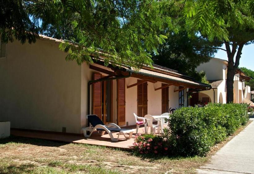 استودیوی استاندارد, Ghiacci Vecchi Residence
