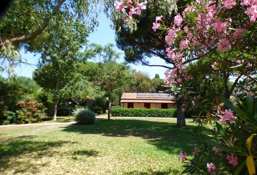 Апартаменты 1 Спальня Нижний Этаж, Ghiacci Vecchi Residence