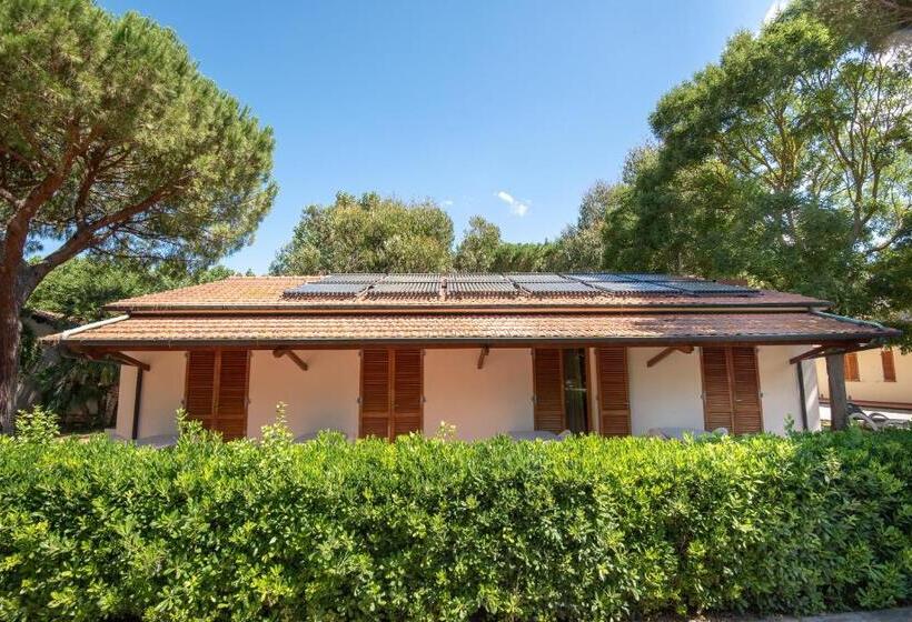 Апартаменты 1 Спальня Нижний Этаж, Ghiacci Vecchi Residence