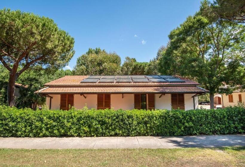 Апартаменты 1 Спальня Нижний Этаж, Ghiacci Vecchi Residence