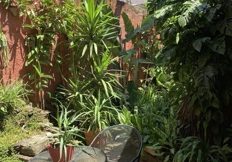 غرفة قياسية فردية, La Posada Del Angel