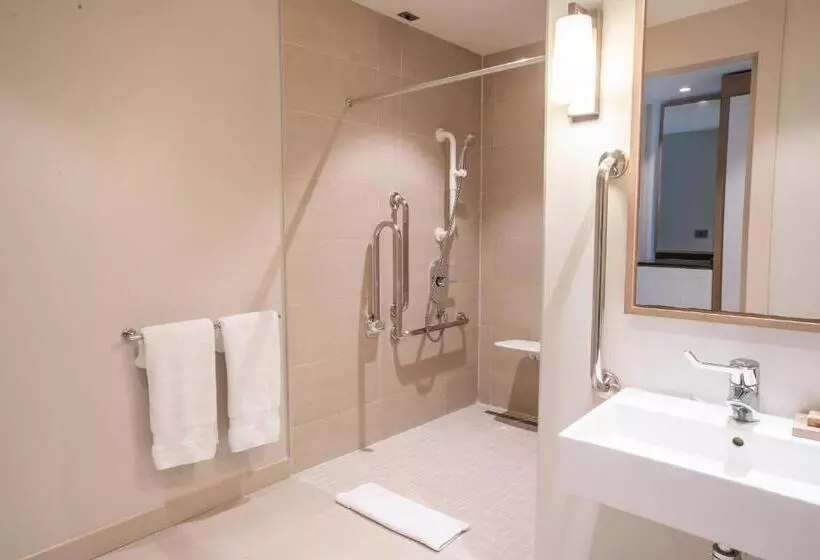 اتاق استاندارد با تخت بزرگ, Marriott Portauprince