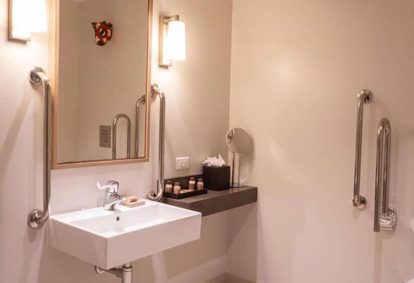 带大床的标准间, Marriott Portauprince