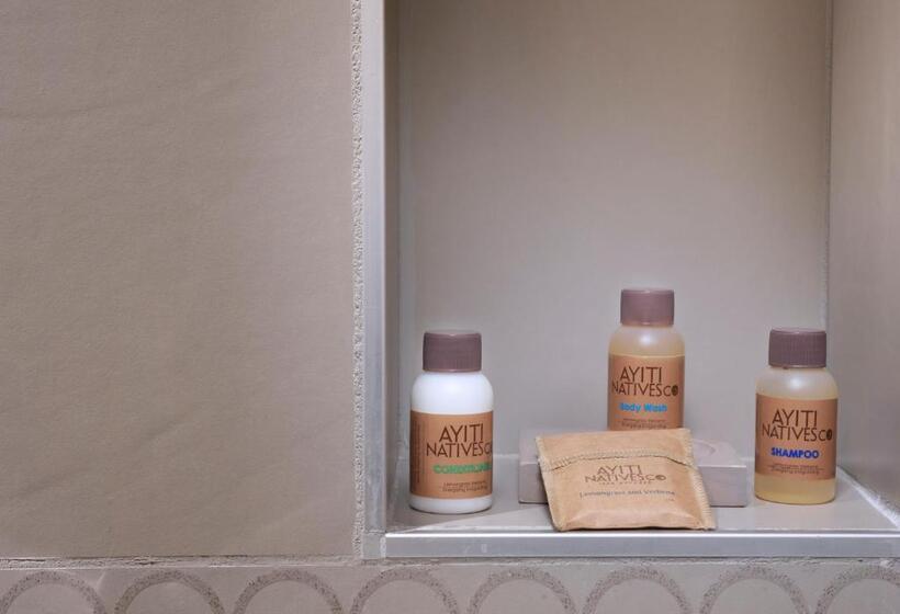 带大床的行政房间, Marriott Portauprince