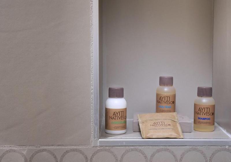 带大床的标准间, Marriott Portauprince