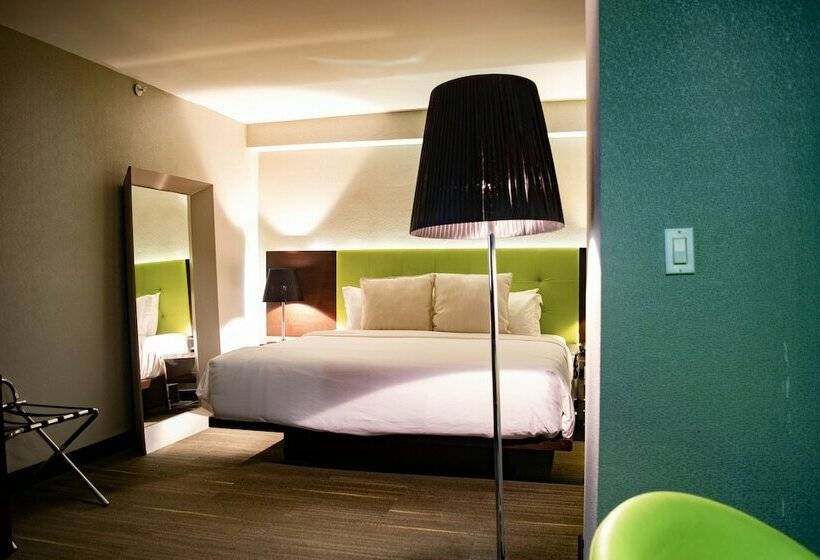 غرفة سوبيريور, Exe Oriental Panamá