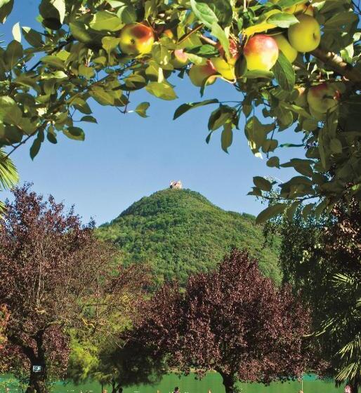 חדר סטנדרט יחיד, Seegarten