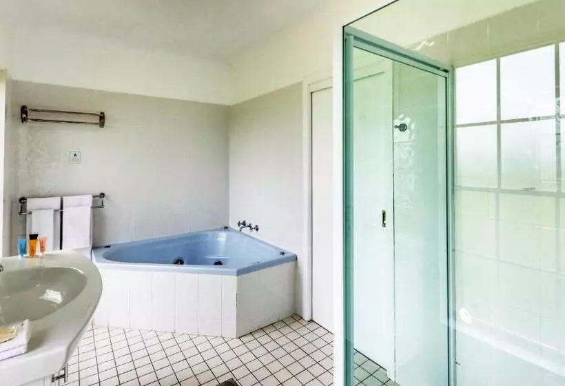 اتاق سوپریور با تخت بزرگ, Country Gardens Motor Inn