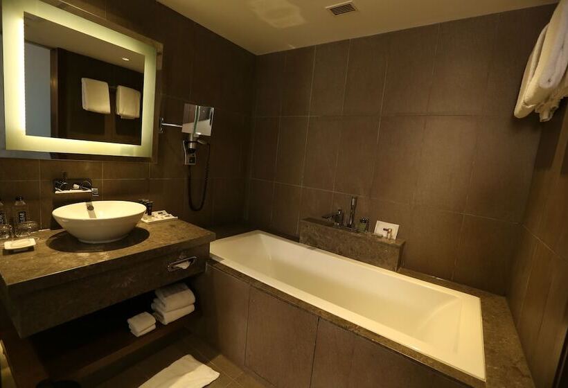 جناح سوبيريور, Novotel New Delhi Aerocity  International Airport