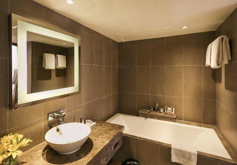 جناح سوبيريور, Novotel New Delhi Aerocity  International Airport