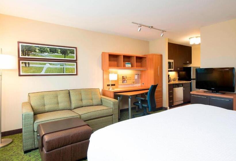 إستوديو قياسى, Towneplace Suites By Marriott Lexington South/hamburg Place