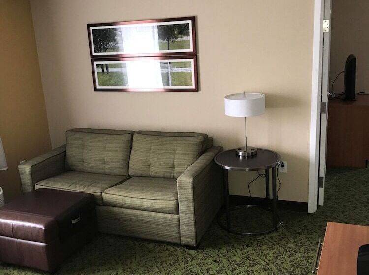 جناح, Towneplace Suites By Marriott Lexington South/hamburg Place