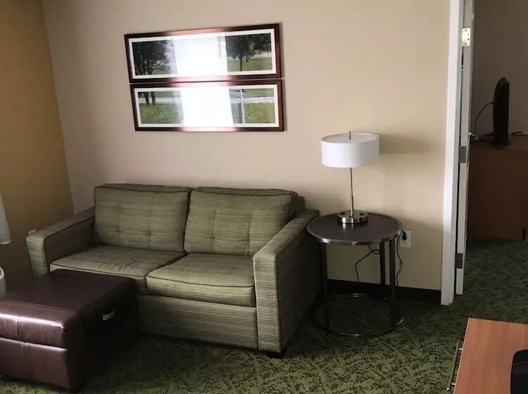 スイート, Towneplace Suites By Marriott Lexington South/hamburg Place