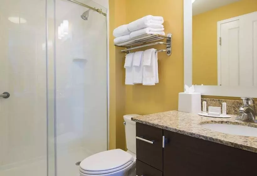 ２ベッドスイートルーム, Towneplace Suites By Marriott Lexington South/hamburg Place