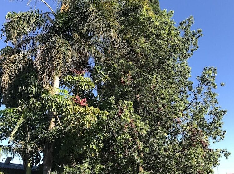 Номер Стандарт, Travelway Motel