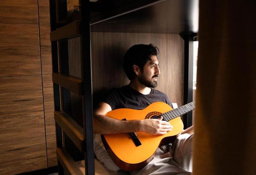 ルームシェアのワンベッド, Haka House Franz Josef