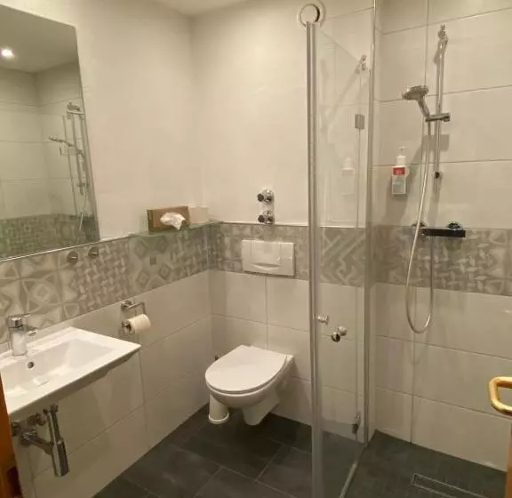 クラシックルーム, Flux Biohotel Werratal
