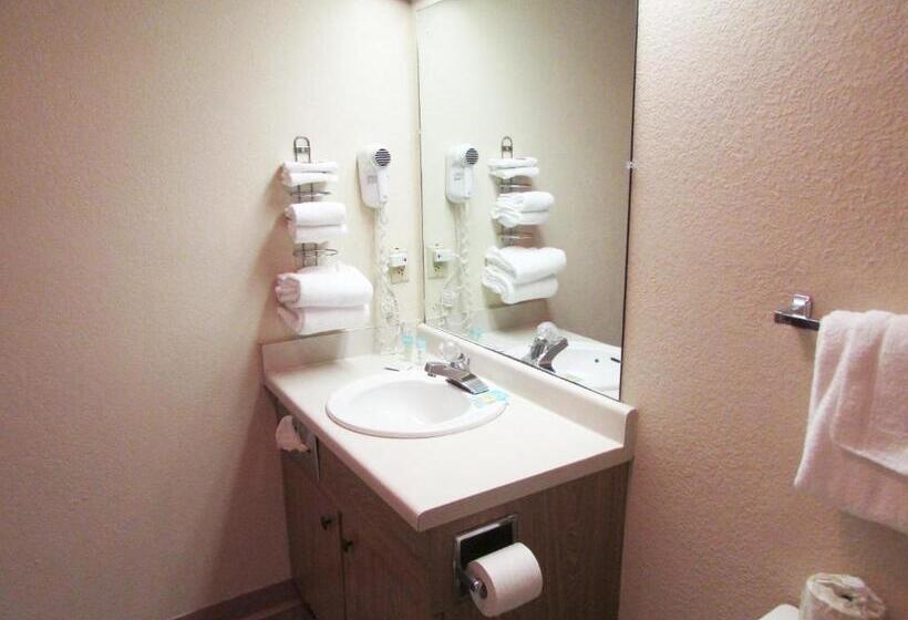 キングサイズベッドのジュニアスイート, Arbors At Island Landing Hotel & Suites