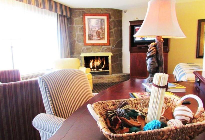 キングサイズベッドのジュニアスイート, Arbors At Island Landing Hotel & Suites