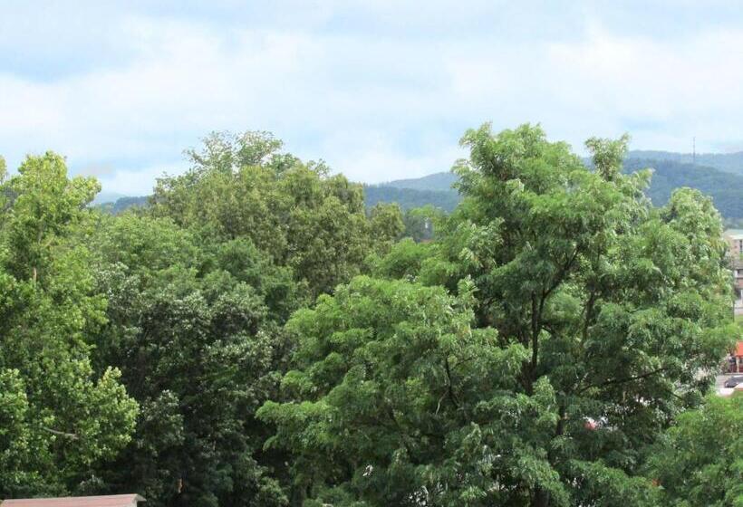 Quarto Superior Vista Montanha, Arbors At Island Landing Hotel & Suites