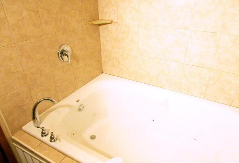 スーペリアージュニアスイート, Arbors At Island Landing Hotel & Suites