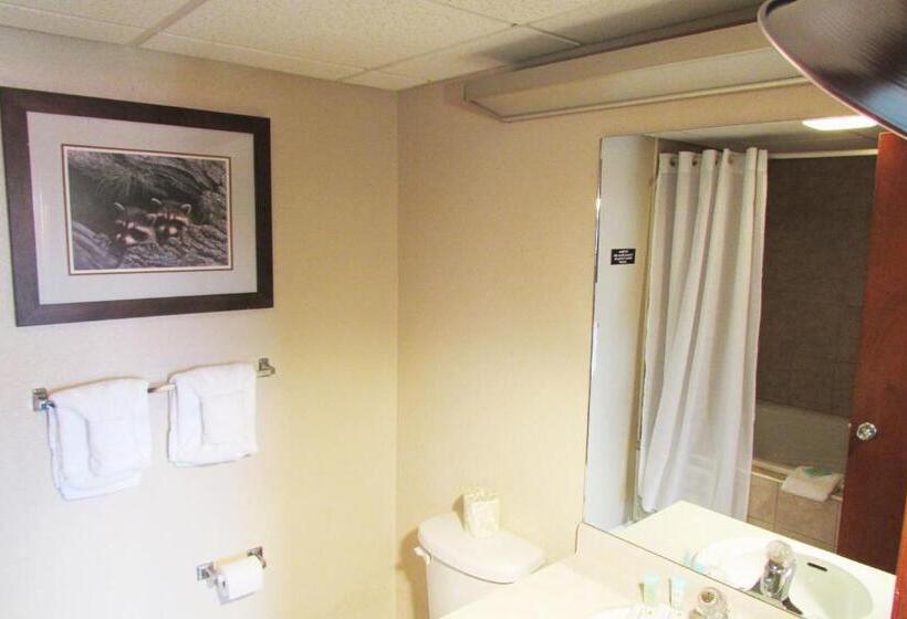 スーペリアージュニアスイート, Arbors At Island Landing Hotel & Suites