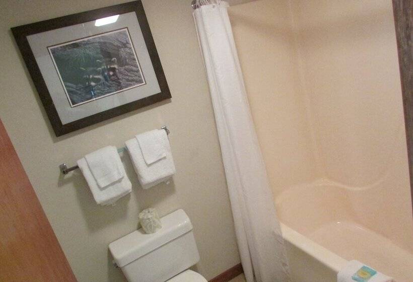 山の見えるスーペリアルーム, Arbors At Island Landing Hotel & Suites