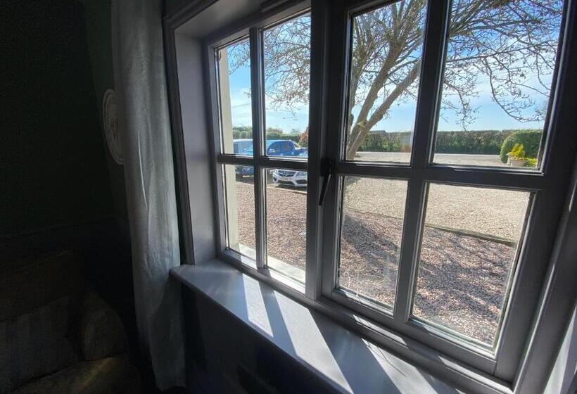 Номер Стандарт Вид на Сад, Blazing Donkey Country