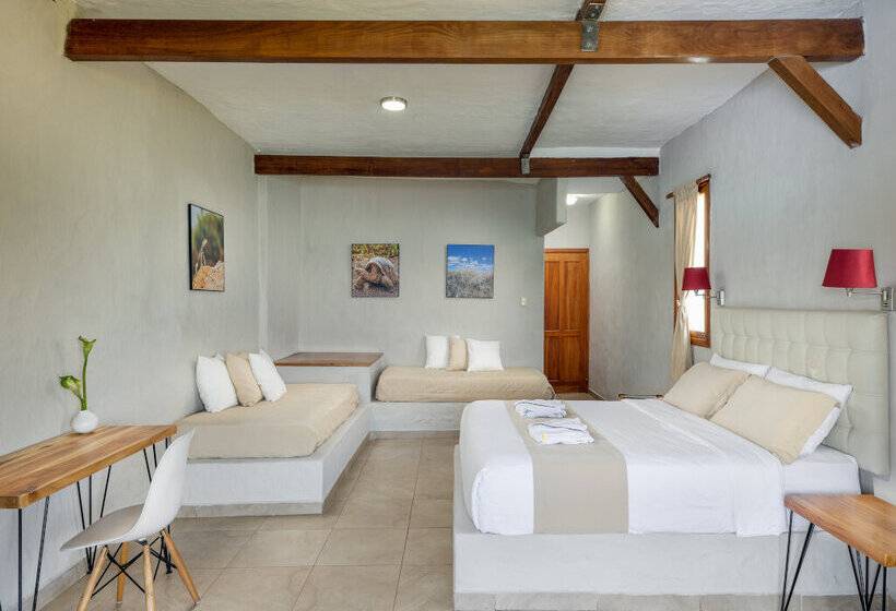 סוויטה, Blu Galapagos Sustainable Waterfront Lodge