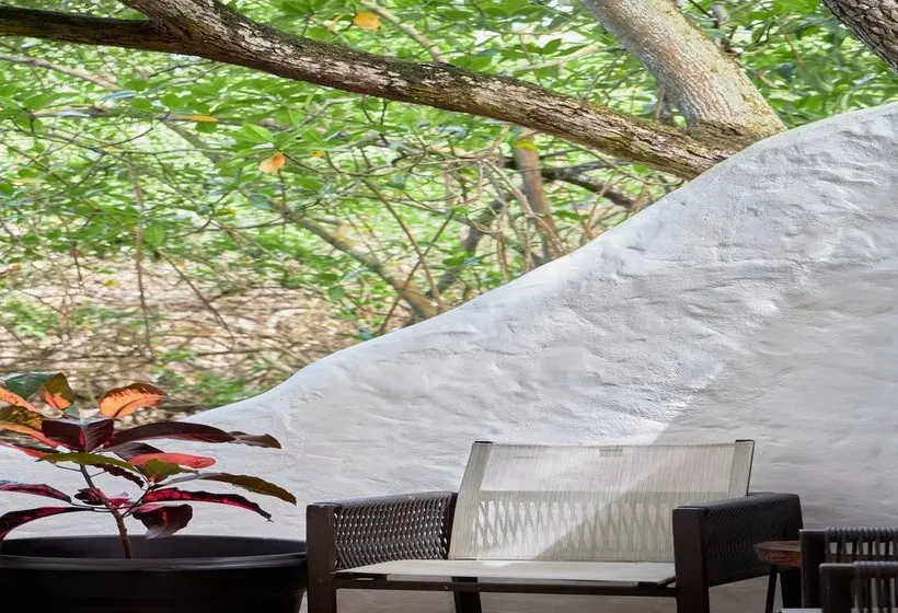 اتاق سوپریور, Blu Galapagos Sustainable Waterfront Lodge