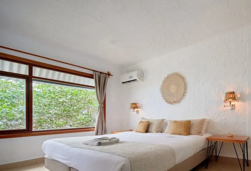 اتاق استاندارد, Blu Galapagos Sustainable Waterfront Lodge