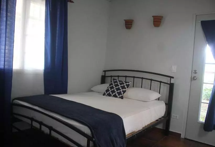 スタンダードシングルルーム, Coffee Mountain Inn
