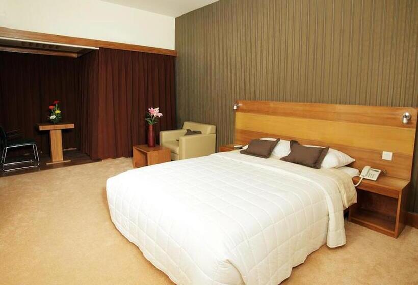 اتاق سوپریور با تخت بزرگ, Richmond Hotel & Suites