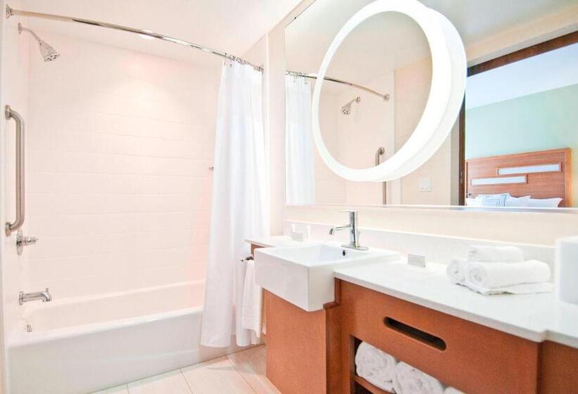 스탠다드 스튜디오 킹침대, Springhill Suites By Marriott Baton Rouge Gonzales