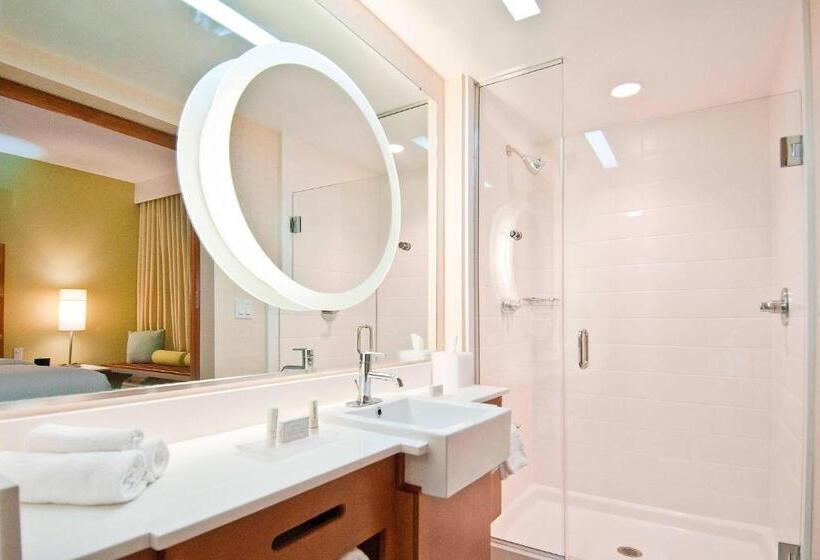 إستوديو قياسى سرير كينج, Springhill Suites By Marriott Baton Rouge Gonzales