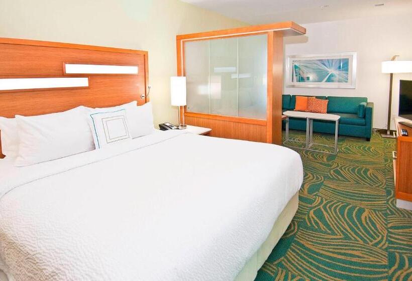 إستوديو قياسى سرير كينج, Springhill Suites By Marriott Baton Rouge Gonzales