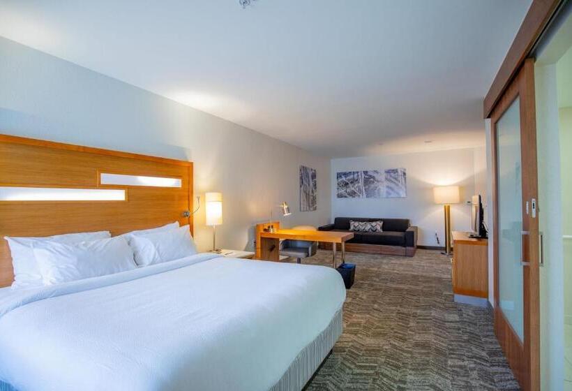 إستوديو قياسى سرير كينج, Springhill Suites By Marriott Baton Rouge Gonzales