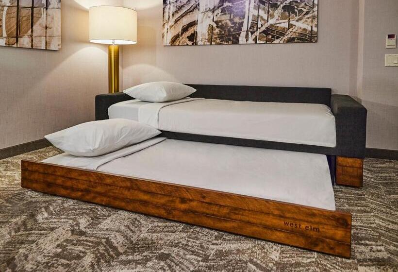 إستوديو قياسى سرير كينج, Springhill Suites By Marriott Baton Rouge Gonzales