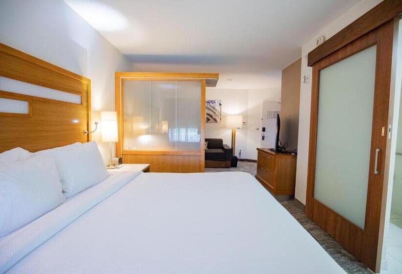 إستوديو قياسى سرير كينج, Springhill Suites By Marriott Baton Rouge Gonzales