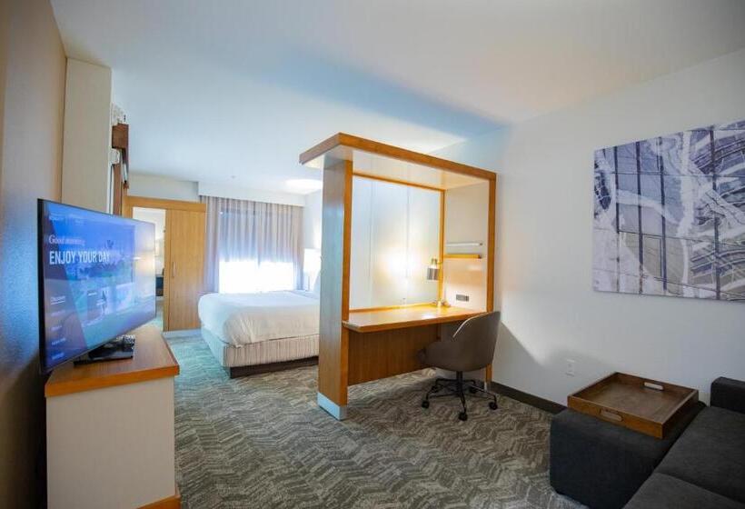 스탠다드 스튜디오 킹침대, Springhill Suites By Marriott Baton Rouge Gonzales