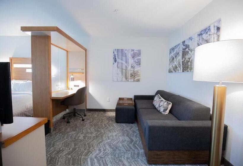 إستوديو قياسى سرير كينج, Springhill Suites By Marriott Baton Rouge Gonzales