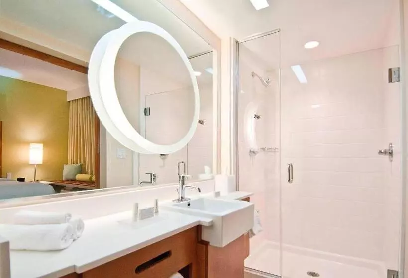 スタンダードスタジオ, Springhill Suites By Marriott Baton Rouge Gonzales