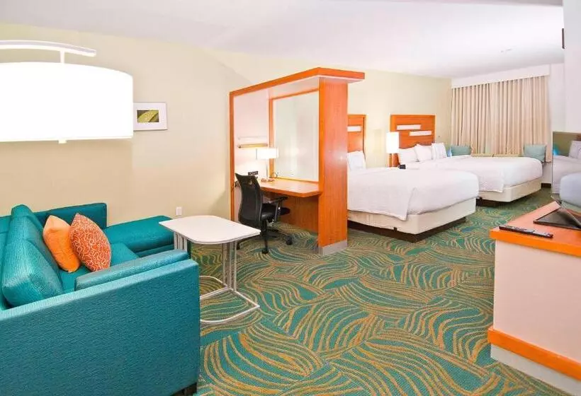 スタンダードスタジオ, Springhill Suites By Marriott Baton Rouge Gonzales