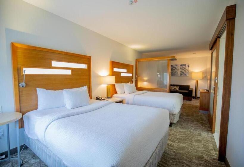 إستوديو قياسى, Springhill Suites By Marriott Baton Rouge Gonzales