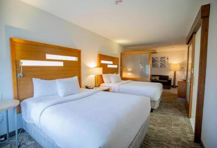 スタンダードスタジオ, Springhill Suites By Marriott Baton Rouge Gonzales