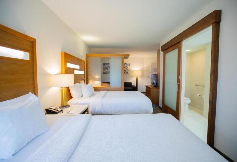 إستوديو قياسى, Springhill Suites By Marriott Baton Rouge Gonzales