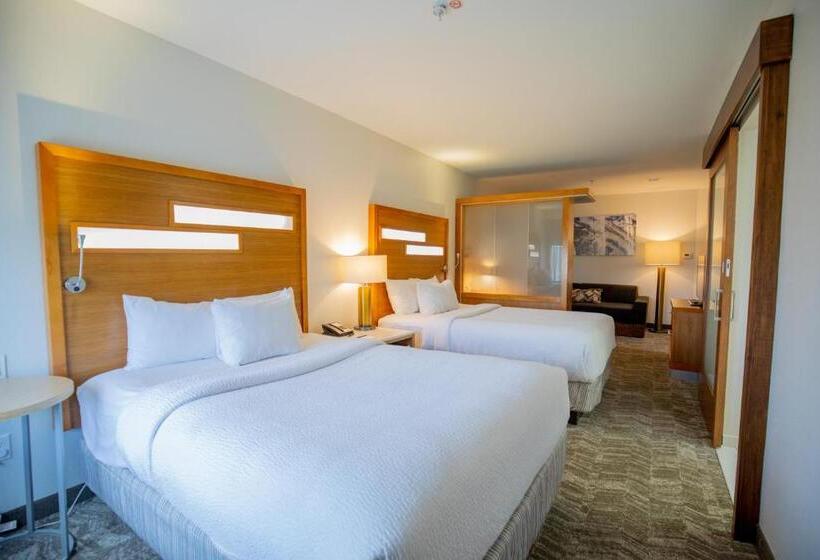 إستوديو قياسى, Springhill Suites By Marriott Baton Rouge Gonzales