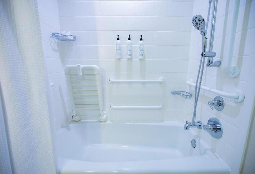 إستوديو قياسى سرير كينج, Springhill Suites By Marriott Baton Rouge Gonzales