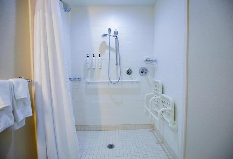 스탠다드 스튜디오 킹침대, Springhill Suites By Marriott Baton Rouge Gonzales