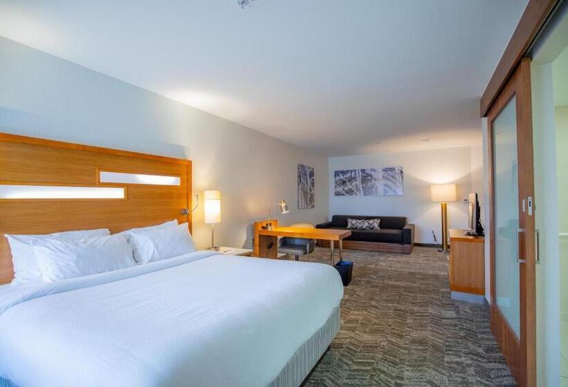 إستوديو قياسى سرير كينج, Springhill Suites By Marriott Baton Rouge Gonzales